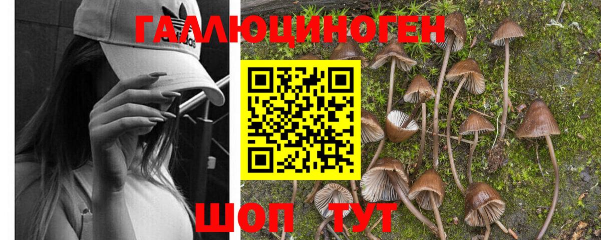Нижний Тагил  Псилоцибиновые грибы мицелий  Вход с VPN 
