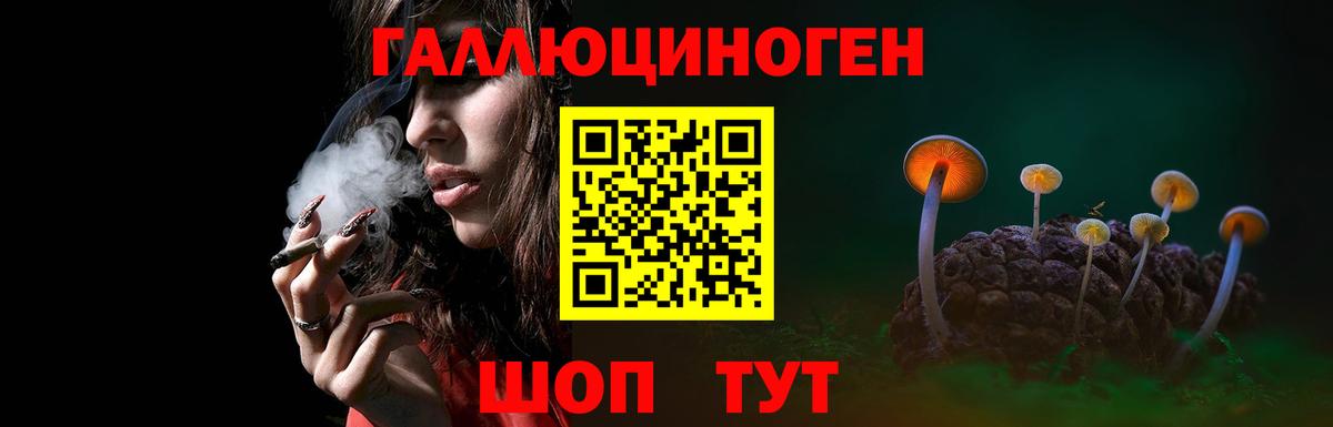Псилоцибиновые грибы мухоморы Нижний Тагил